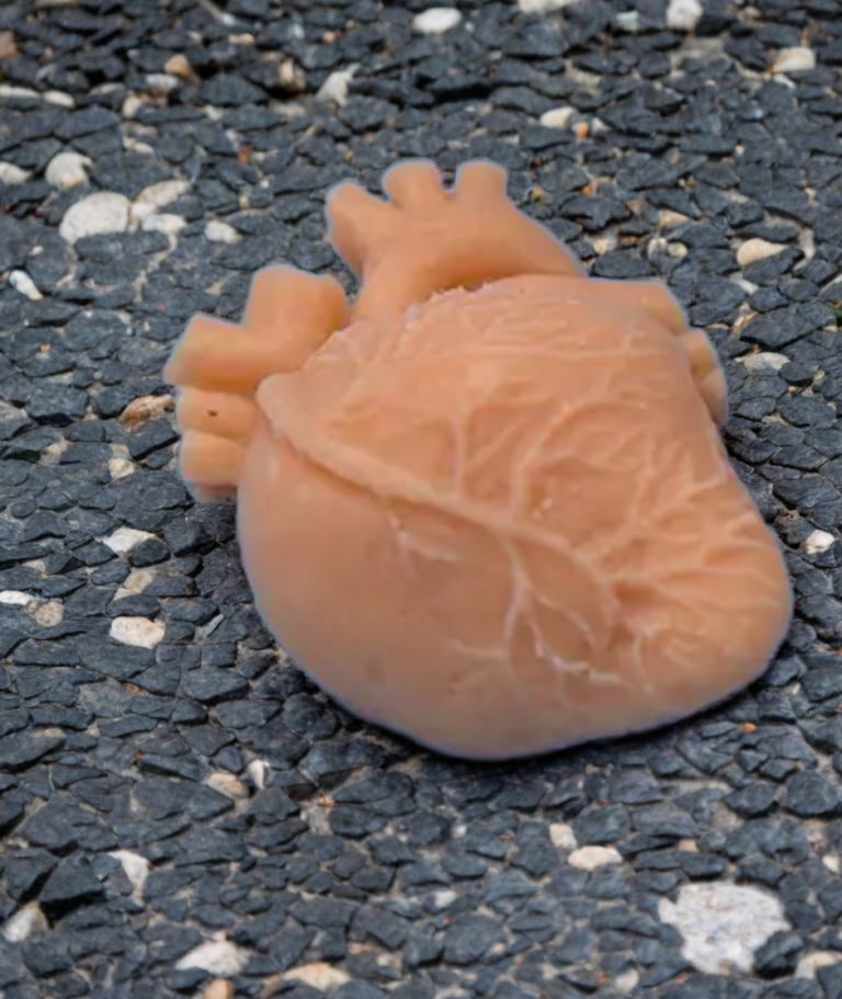 WhatsApp Image 2025-07-28 at 9.26