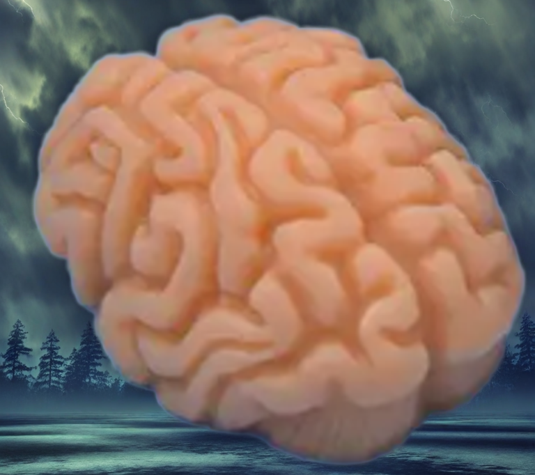 WhatsApp Image 2025-07-28 at 9.26