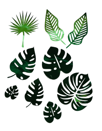 Captura de pantalla 2025-09-12 114331