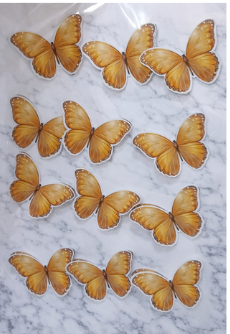 Captura de pantalla 2026-01-25 082344